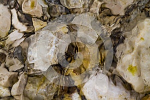 Stones under water. Blurred background