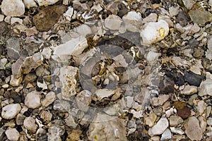 Stones under water. Blurred background