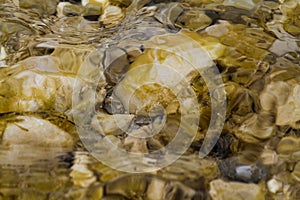 Stones under water. Blurred background