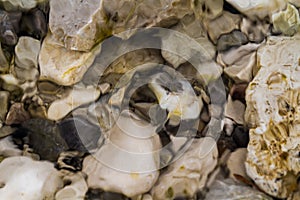 Stones under water. Blurred background