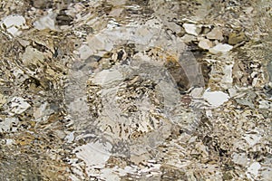 Stones under water. Blurred background