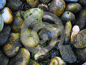 Stones under water with moss