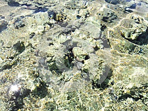 Stones under water