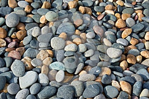 Stones of various shapes and colors