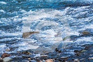 Stones in water riffle of mountain river. Powerful water stream among stones in mountain creek with rapids. Fast flow among rocks