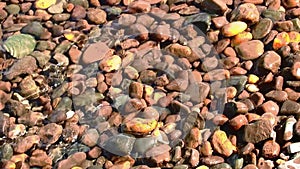 Stones water surf wave beach