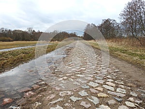 Stones road and beautiful trees in spring, Lithuania
