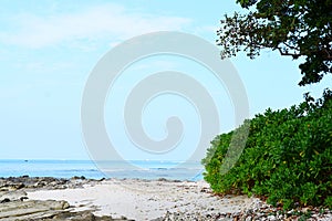 Stones, White Sand, Blue Sky & Greenery - Radhanagar Beach, Havelock Island, Andaman & Nicobar Islands, India - Natural Background