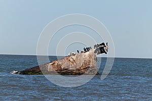 This is the stoneship at Sunset beach is Cape May New Jersey. This sunken vessel emerges from the sea right off the shore.