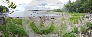 Stoney beach with trees at  Kejimkujik