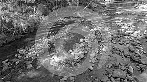 Stoney Creek Bed In Black And White