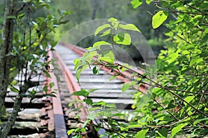 Stoney Creek Disused Railway Bridge