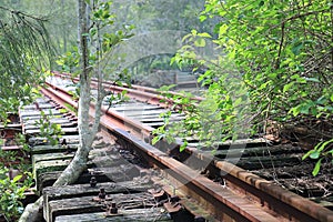 Stoney Creek Disused Railway Bridge