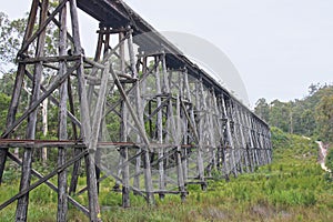 The Stoney Creek Trestle Bridge photo