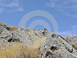 Stoney landscape near Magacela, Badajoz - Spain