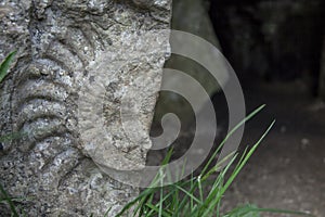 Stoney Littleton 3,500 BC | Long Barrow inside