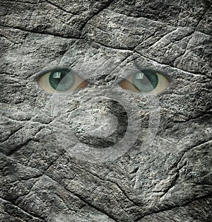 The stoney stare of a rock face