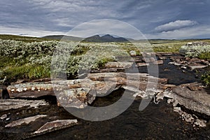 Stoney stream with mountains in background