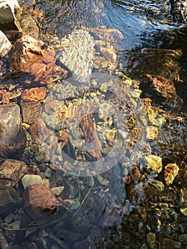 the stongs In the clear and transparent river