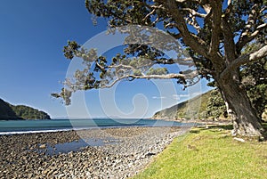 Stony Bay, Coromandel, New Zealand photo