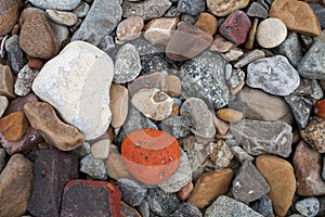 Stony beach