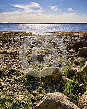 Stony beach on the Baltic Sea in Hohen Wieschendorf