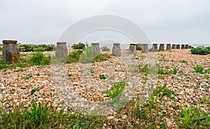 Stony beach in Eastbourne, East Sussex