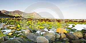 Stony beach after sunrise