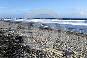 Stony beach at sunset light and blue sky