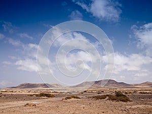 Stony desert and distant mountains