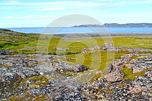 Stony exposures on the bank of the Barents Sea