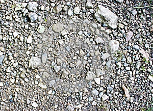 Stony ground photo