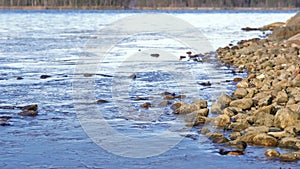 Stony lake landscape with shallow ice cover at the shore in early winter.