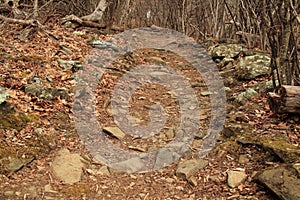 Stony Man Trail in Shenandoah National Park