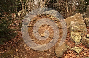 Stony Man Trail in Shenandoah National Park