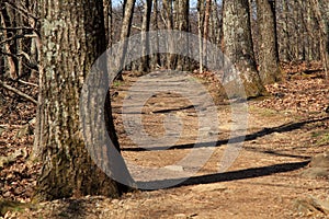 Stony Man Trail in Shenandoah National Park