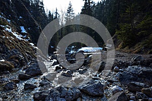 A stony meadow in a mountain hollow near trees. There is a bench under a shady tree. Forested winter mountain massif