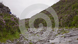 Stony Mountain Path | Scottish Heather, Scotland