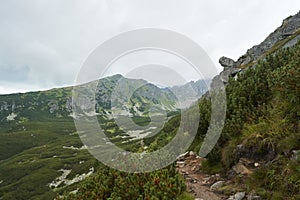 Stony mountain pathway in High Tatras