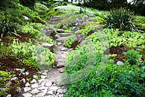 Stony path and stairs in the green garden