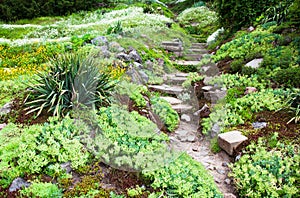 Stony path and stairs in the green garden