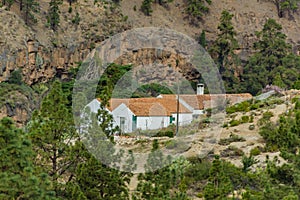 Stony path at upland surrounded by pine trees at sunny day. Typical rural house in a mountain valley. Rocky tracking road in dry