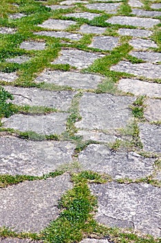 Stony pathway overgrown by grass