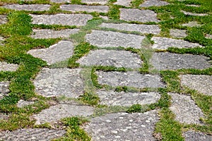 Stony pathway overgrown by grass