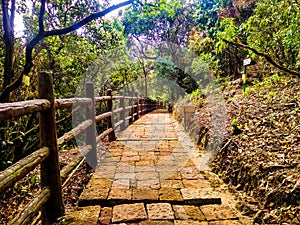 Stony Pathway towards Arwah Lumshyna Cave