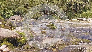 Stony river stream in mountain forest. Water stream quickly flowing close up