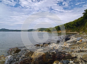 Stony sea coast