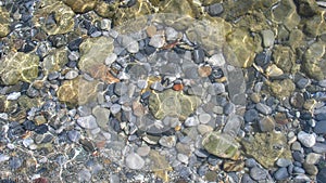 Stony seabed through clear water