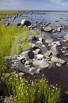 A stony shore. Bornholm. Denmark photo