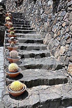 Stony stairs with cactus in Lanzarote